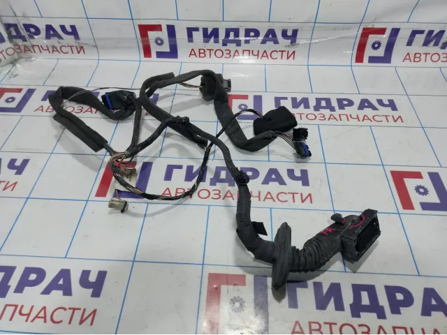 Проводка двери передней правой Renault Megane 2 8200525185