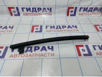 Направляющая стекла двери задней левой Renault Megane 2 8200325383