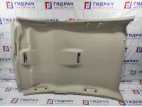 Обшивка потолка Renault Megane 2 8200128771