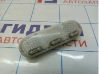 Плафон салонный Renault Megane 2 8200073234