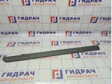 Накладка передней левой двери Renault Megane 2 8200648661