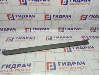 Накладка передней левой двери Renault Megane 2 8200648661