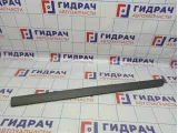Накладка передней правой двери Renault Megane 2 8200648666