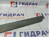 Накладка передней правой двери Renault Megane 2 8200648666