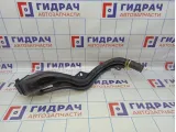 Горловина топливного бака Renault Megane 2 8200529160
