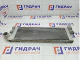 Интеркулер Renault Megane 8200700172