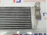Интеркулер Renault Megane 8200700172