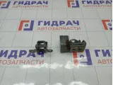 Петли двери задней левой Renault Megane 8200885637