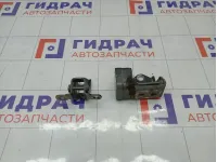 Петли двери задней левой Renault Megane 8200885637