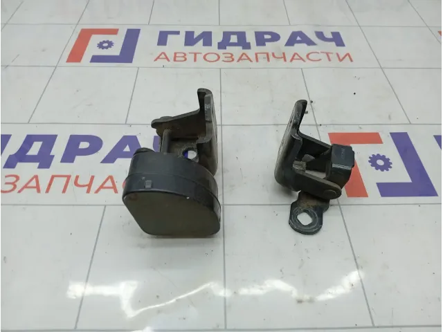 Петли двери передней левой Renault Megane 804218874R