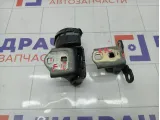 Петли двери передней правой Renault Megane 804203220R