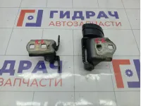 Петли двери задней правой Renault Megane 8200885639