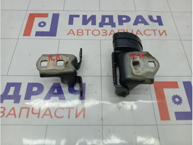 Петли двери задней правой Renault Megane 8200885639
