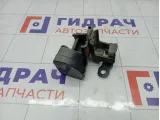 Петли двери задней правой Renault Megane 8200885639
