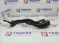 Горловина топливного бака Renault Megane 8200891421