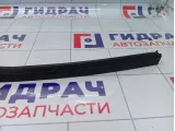 Направляющая стекла двери задней левой Renault Megane 822310006R