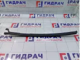 Направляющая стекла двери задней левой Renault Megane 822310006R