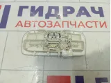 Плафон салонный Renault Megane 264300007R