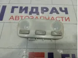 Плафон салонный Renault Megane 264300008R