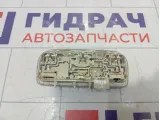 Плафон салонный Renault Megane 264300008R