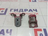 Петли двери передней правой Renault Megane