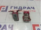 Петли двери задней левой Renault Megane