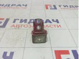 Петли двери задней правой Renault Megane