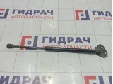 Амортизатор крышки (двери) багажника левый Renault Megane 904510001R