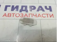 Плафон салонный Renault Megane 8200074365
