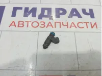 Форсунка инжекторная Renault Megane 8200505191