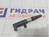 Катушка зажигания Renault Megane 224333529R