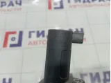Катушка зажигания Renault Megane 224333529R