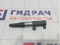 Катушка зажигания Renault Megane 224333529R