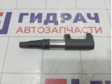Катушка зажигания Renault Megane 224333529R