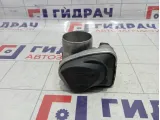 Дроссельная заслонка Renault Megane 8200171134