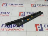 Накладка двери передней правой Renault Megane 802840004R