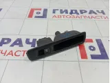 Кнопка стеклоподъемника заднего Renault Megane 254210001R
