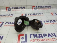 Ниша лючка бензобака Renault Megane 781200005R