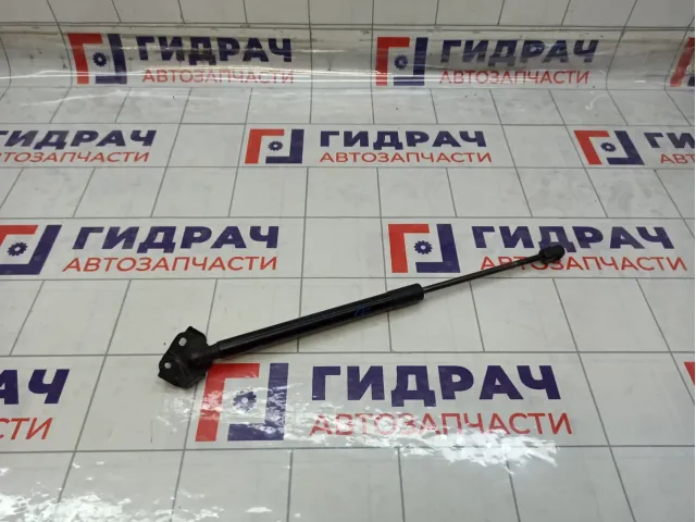 Амортизатор крышки (двери) багажника левый Renault Megane 904510001R