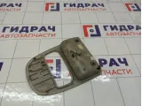 Очечник Renault Megane 739480006R