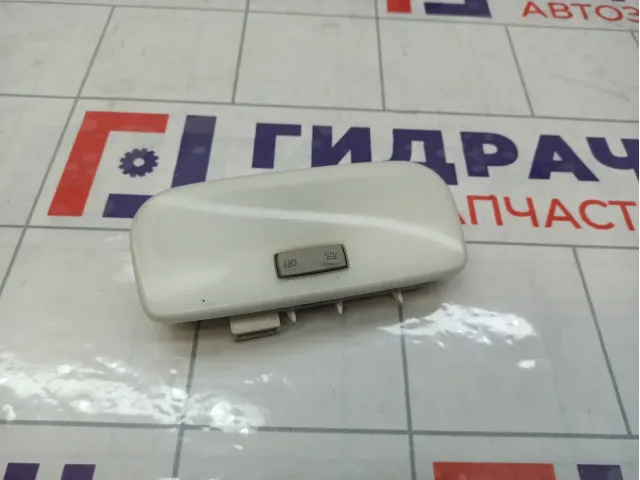 Плафон салонный Renault Megane 264300007R