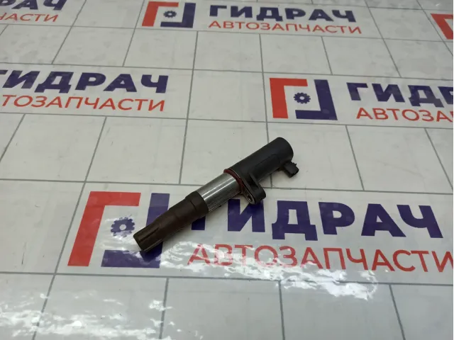 Катушка зажигания Renault Megane 224333529R