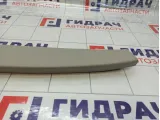 Обшивка двери багажника центральная Renault Megane 909040006R