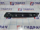 Накладка двери задней правой Renault Megane 3 828764839R.