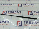 Амортизатор капота Renault Megane 3 654710003R.