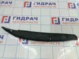 Пыльник крыла переднего левого Renault Megane 3 631137267R.
