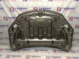 Капот Renault Megane 3 651009018R. Дефекты.