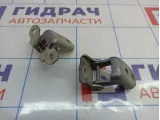 Петли двери передней левой Renault Megane 3 .