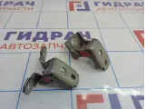 Петли двери передней правой Renault Megane 3 .