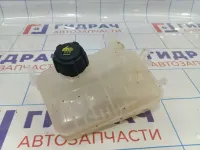 Бачок расширительный Renault Megane 3 217100005R.